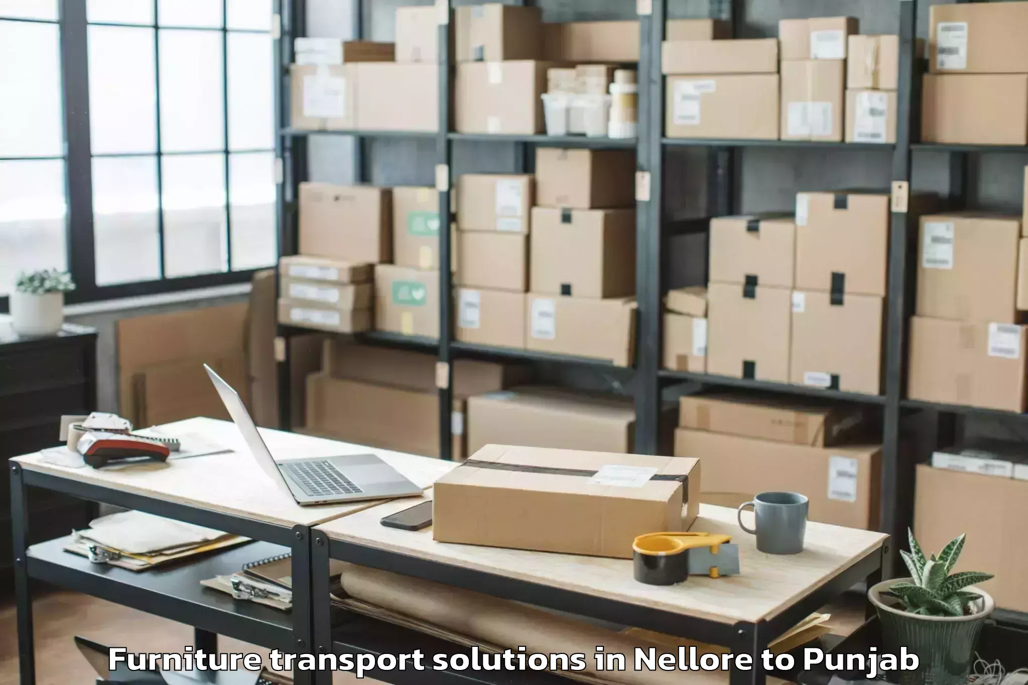 Reliable Nellore to Malerkotla Furniture Transport Solutions